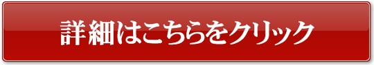 �T�V���݃Z�b�N�X�A���W�S�N�̏ڍ�